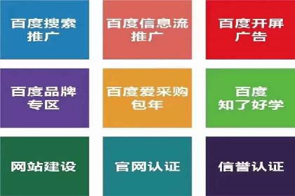 百度推广实战：成功案例解析